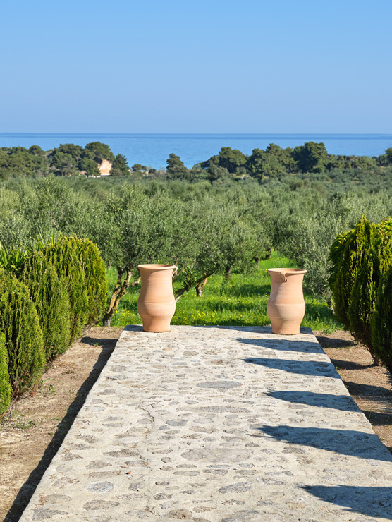 zakynthos villas blue wind